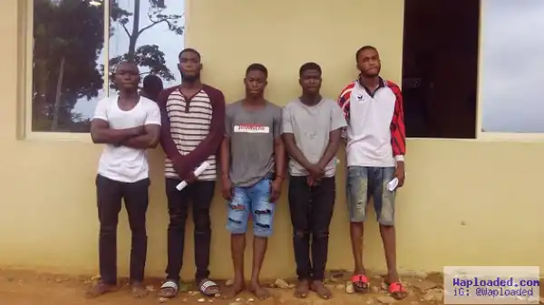 EFCC Arrests Five Undergraduates Over N16 Million Internet Fraud, Recover Cars, Laptops & More (Photos)